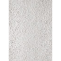  Флизелиновые обои Rauhvlies 2205 (25,0 X 0,75)