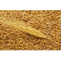 Пшеница  органическая